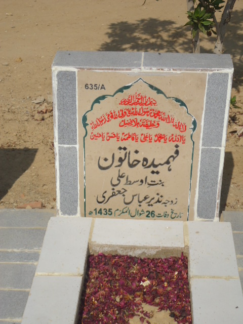 10635 – Fehmeeda Khatoon