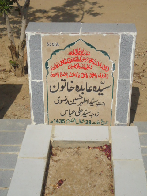 10636 – Syeda Abida Khatoon