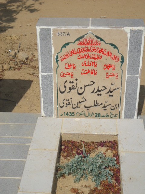 10637 – Syed Haider Hasan Naqvi