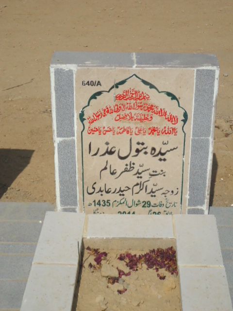 10640 – Syeda Batool Azra