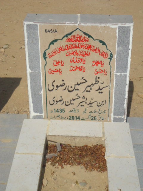 10645 – Syed Zaheer Hussain Rizvi