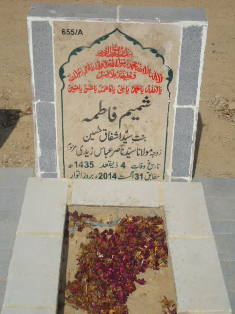 10655 – Shamim Fatima