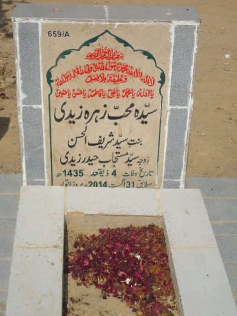 10659 – Syeda Muhib Zehra Zaidi