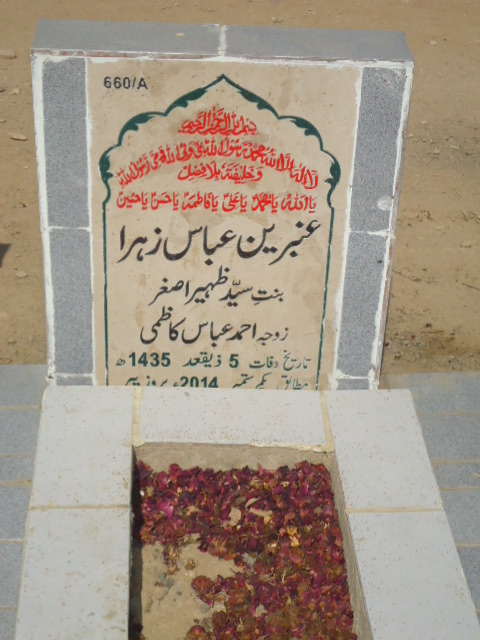 10660 – Ambreen Abbas Zehra