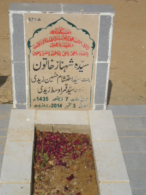 10671 – Syeda Shehnaz Khatoon