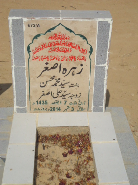 10672 – Zehra Asghar
