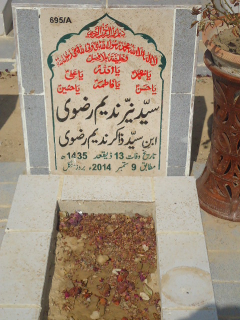 10695 – Syed Nayyer Nadeem Rizvi