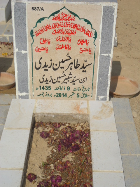 10687 – Syed Tahir Hussain Zaidi