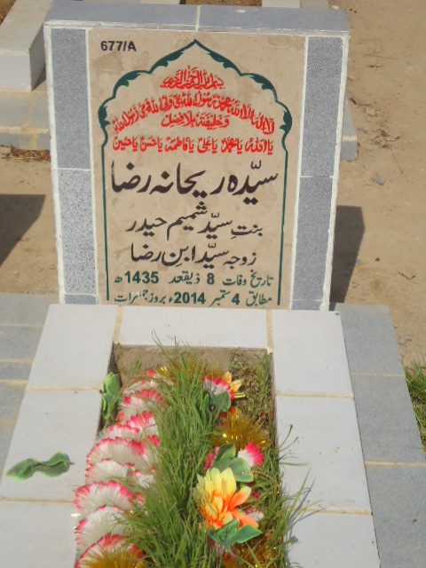10677 – Syeda Rehana Raza