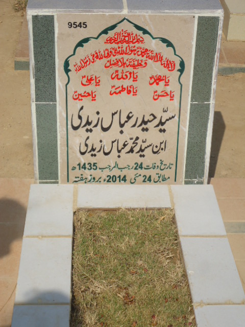 9545 – Syed Haider Abbas Zaidi