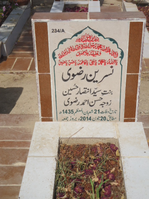 10234 – Nasreen Rizvi