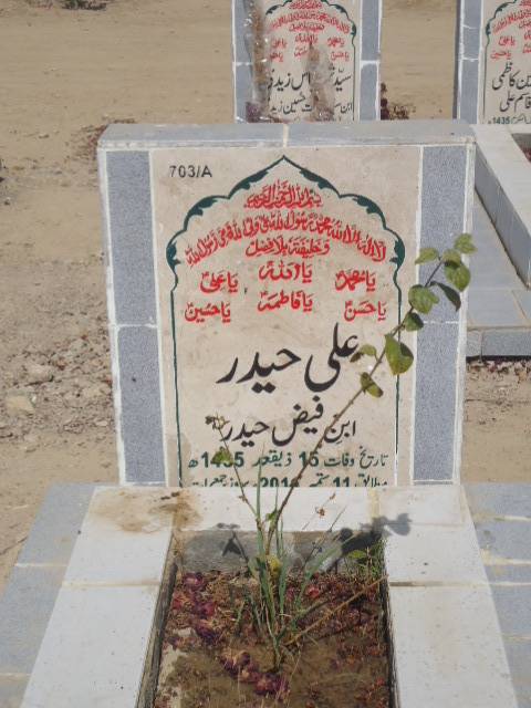 10703 – Ali Haider