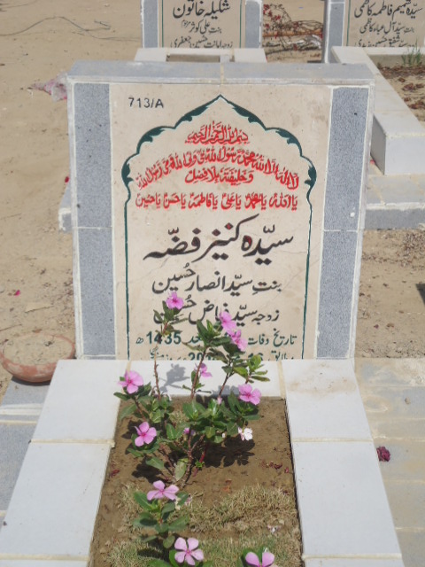 10713 – Syeda Kaneez Fizza