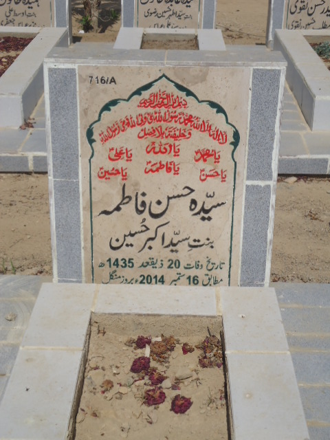 10716 – Syeda Hasan Fatima