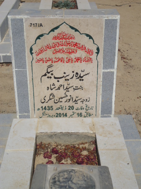 10717 – Syeda Zainab Begum