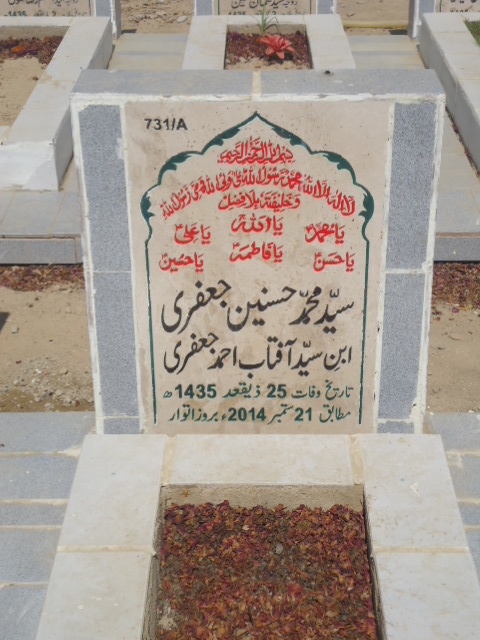 10731 – Syed Muhammad Hasnain Jaffery