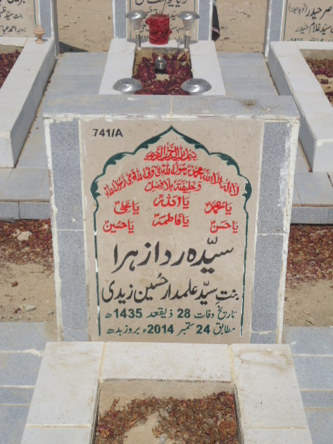 10741 – Syeda Rida Zehra