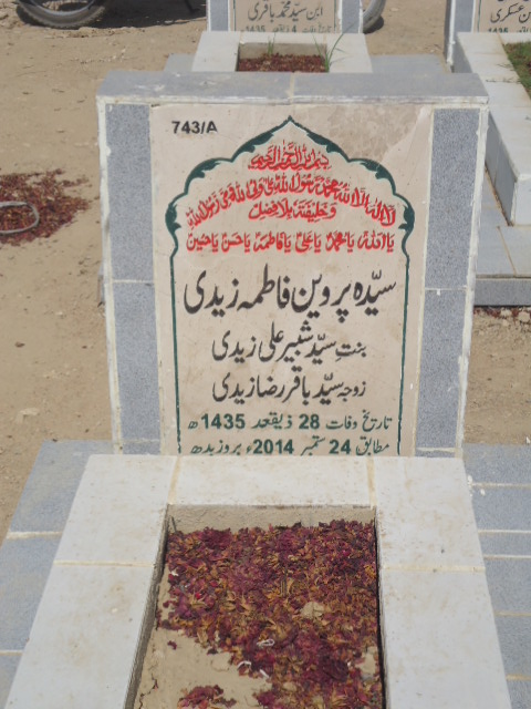 10743 – Syeda Parveen Fatima Zaidi
