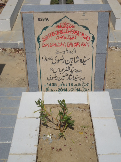 10829 – Syeda Shaheen Rizvi