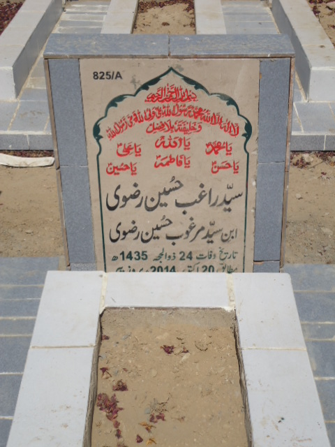 10825 – Syed Raghib Hussain Rizvi
