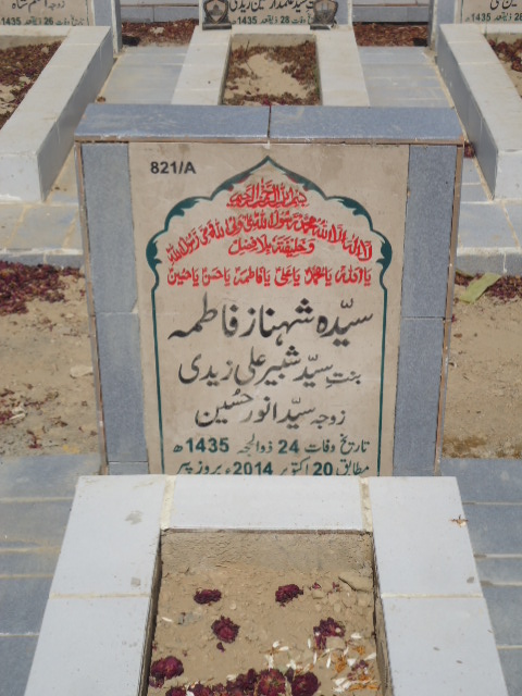 10821 – Syeda Shehnaz Fatima