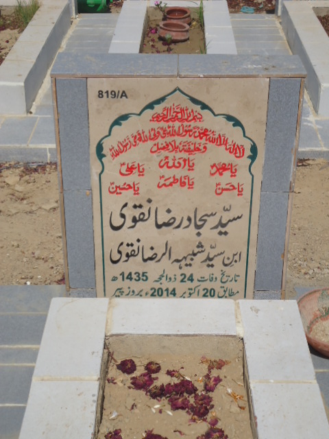 10819 – Syed Sajjad Raza Naqvi