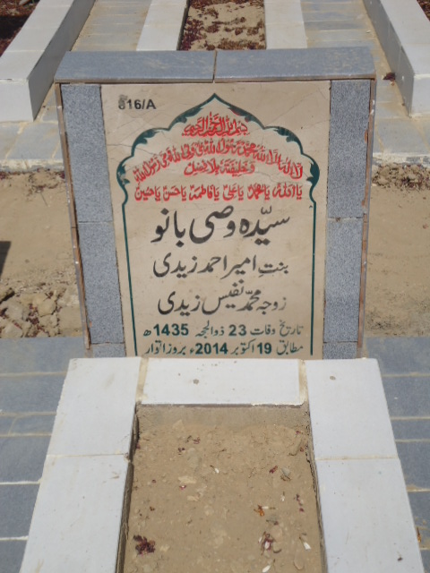 10816 – Syeda Wasi Bano