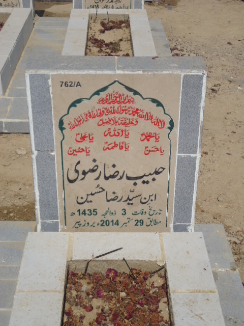 10762 – Habib Raza Rizvi