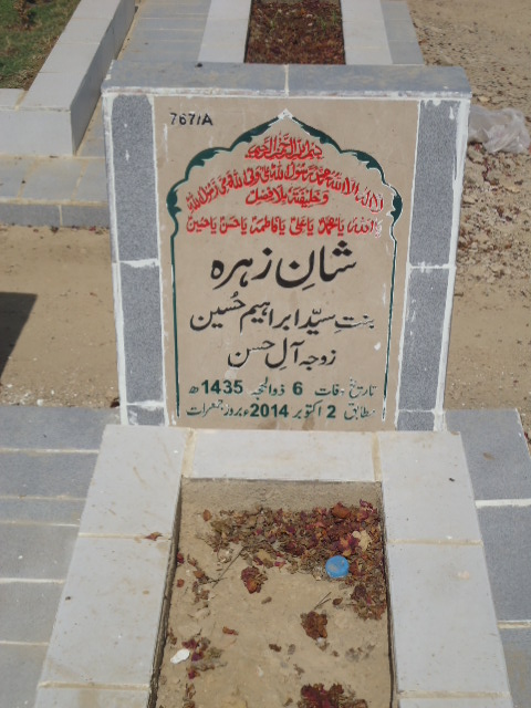 10767 – Shan A Zehra