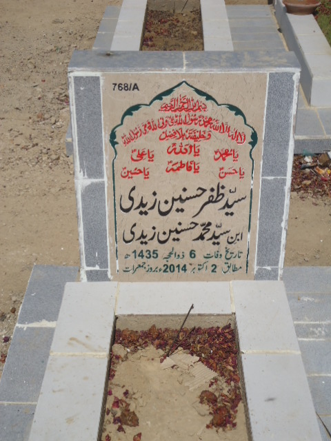 10768 – Syed Zafar Hasnain Zaidi
