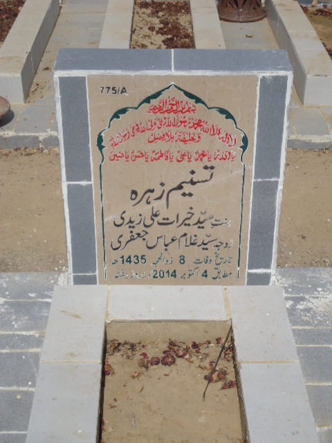10775 – Tasneem Zehra