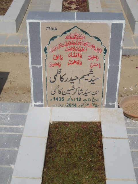 10779 – Syed Shamim Haider Kazmi