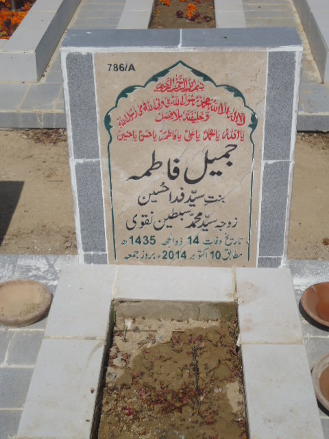 10786 – Jameel Fatima