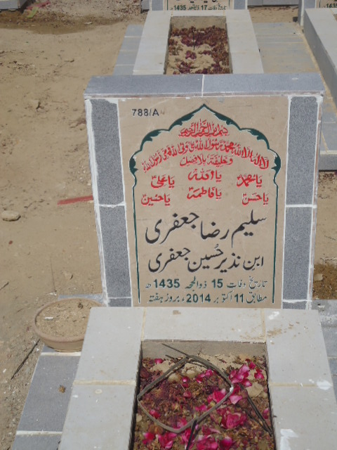10788 – Saleem Raza Jaffery