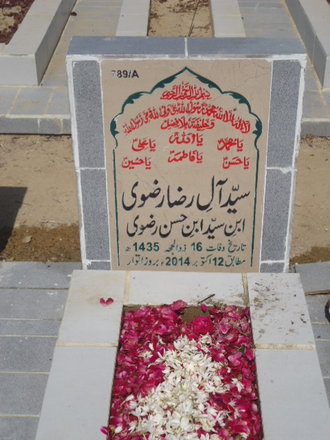 10789 – Syed Alay Raza Rizvi