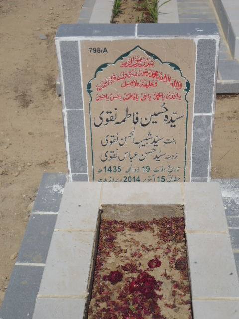 10798 – Syeda Hussain Fatima Naqvi
