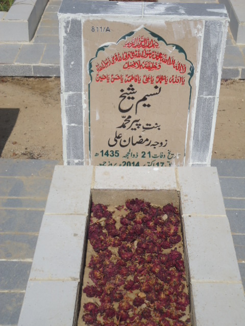 10811 – Naseem Shaikh