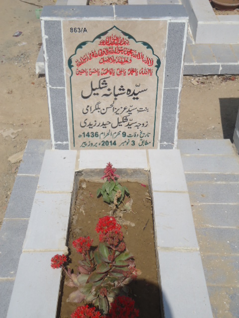 10863 – Syeda Shabana Shakeel