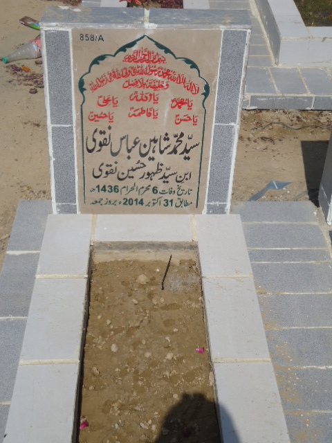 10858 – Syed Muhammad Shaheen Abbas Naqvi