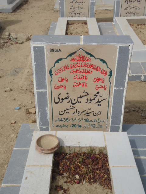 10893 – Syed Mehmood Hussain Rizvi
