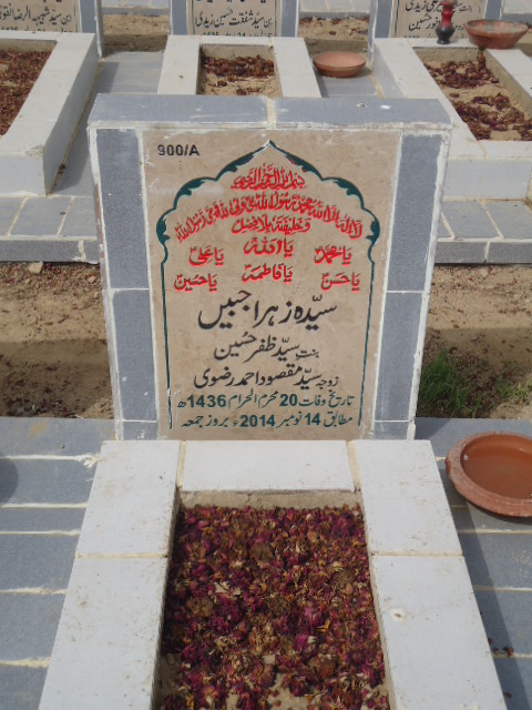 10900 – Syeda Zehra Jabeen