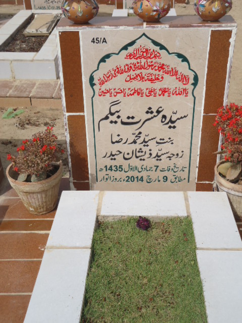 10045 – Syeda Ishrat Begum