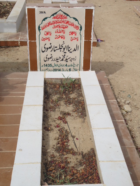 10030 – Allah Dino A Rizvi