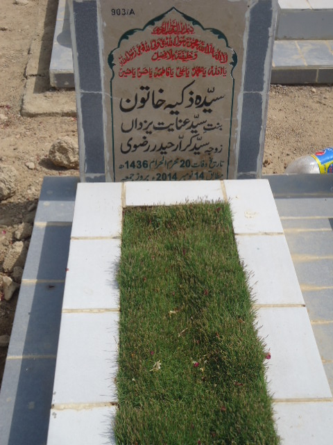 10903 – Syeda Zakiya Khatoon