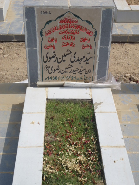 10905 – Syed Mehdi Hussain Rizvi