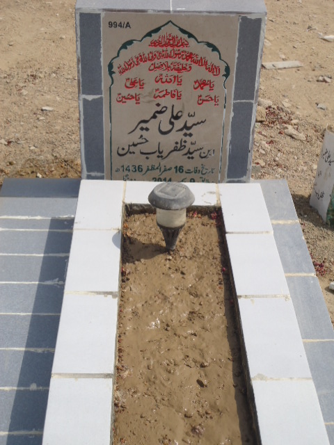 10994 – Syed Ali Zameer