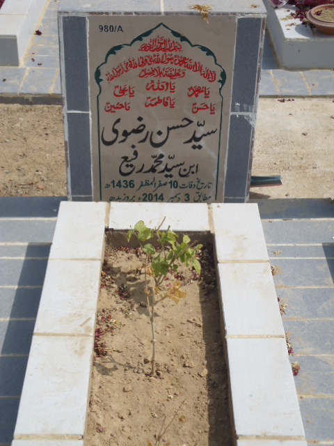 10980 – Syed Hasan Rizvi