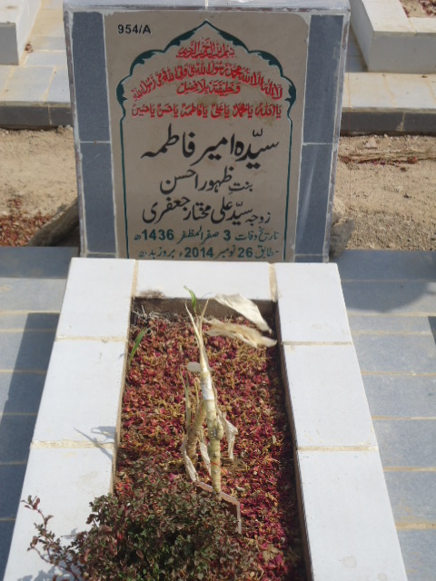 10954 – Syeda Ameer Fatima