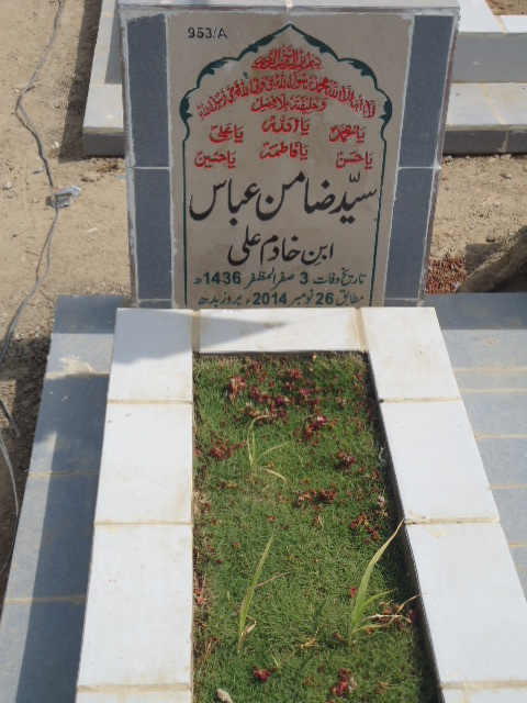 10953 – Syed Zamin Abbas