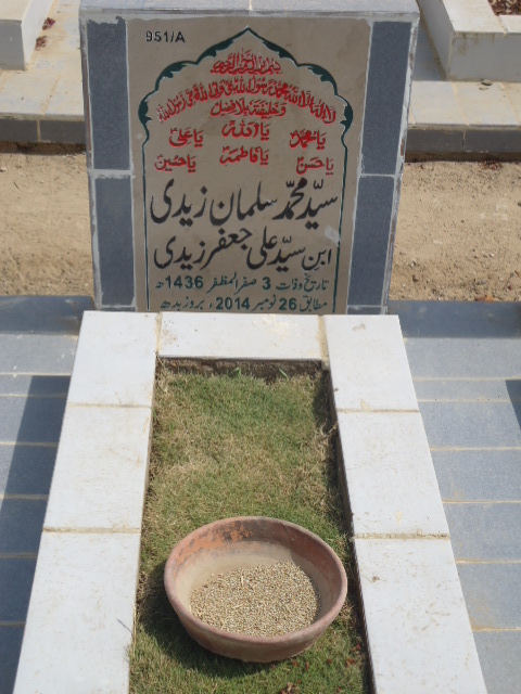10951 – Syed Muhammad Sulman Zaidi